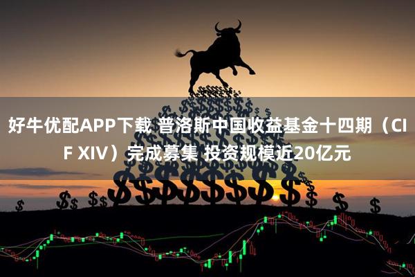 好牛优配APP下载 普洛斯中国收益基金十四期（CIF XIV）完成募集 投资规模近20亿元