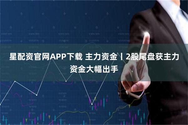 星配资官网APP下载 主力资金丨2股尾盘获主力资金大幅出手