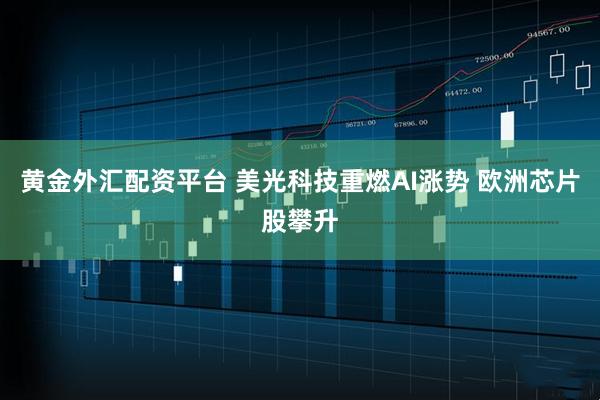 黄金外汇配资平台 美光科技重燃AI涨势 欧洲芯片股攀升